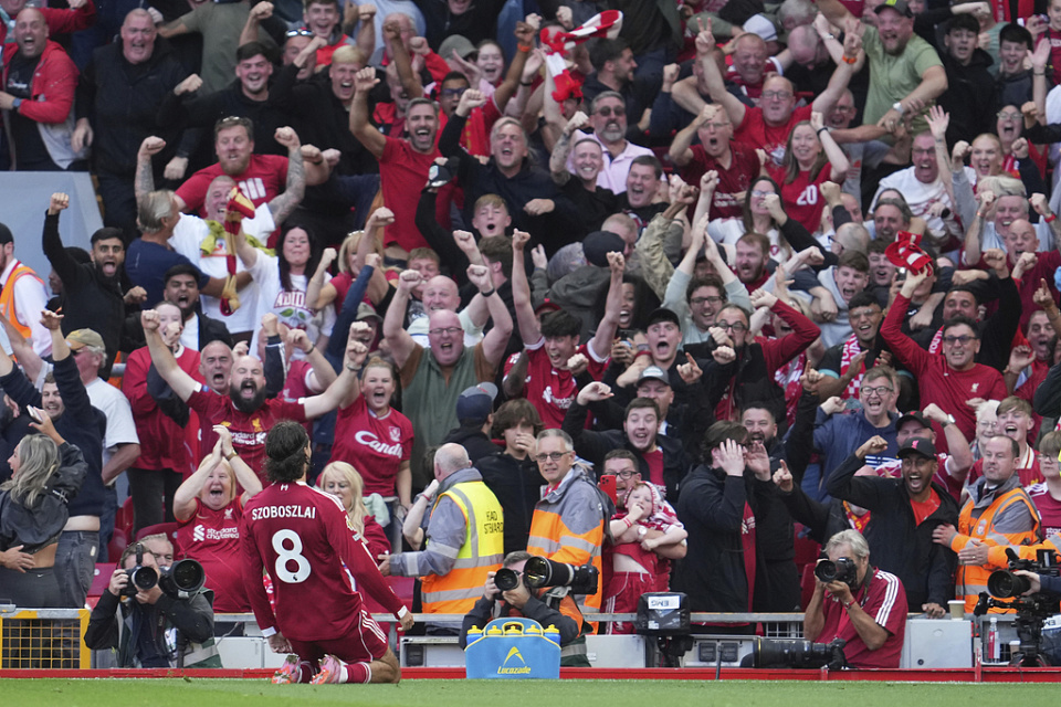 机制强调